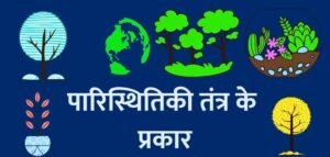 Type of Ecosystem