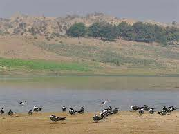 Indian Geography Capsule 10