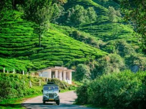 अध्याय-11 मानव पर्यावरण