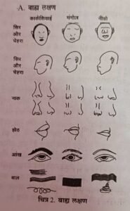 characteristics of species